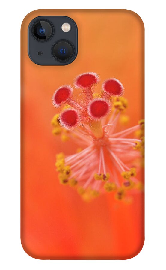 Hibiscus Beauty iPhone 13 Case featuring the digital art Hibiscus beauty 222 by Kevin Chippindall