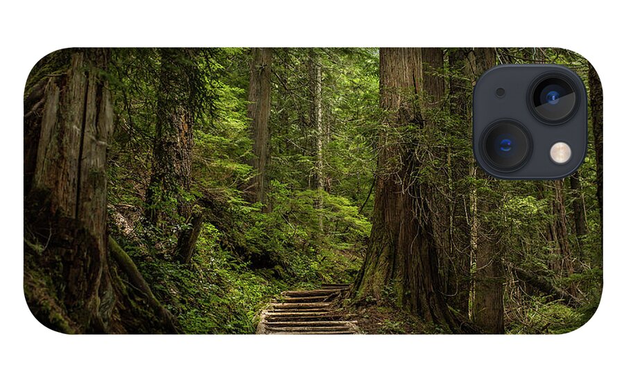 Hiking Trail iPhone 13 Case featuring the photograph Hiking in Mt. Rainier, Washington by Julieta Belmont