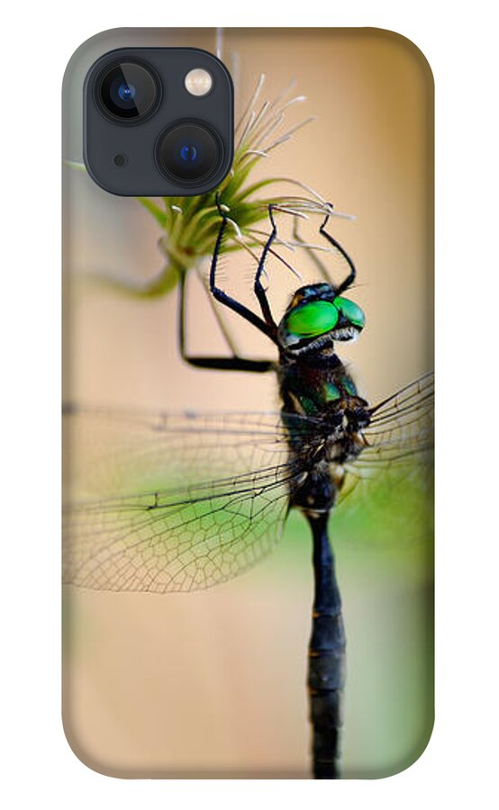 Dragonfly iPhone 13 Case featuring the photograph Hines Emerald Dragonfly by Kae Cheatham