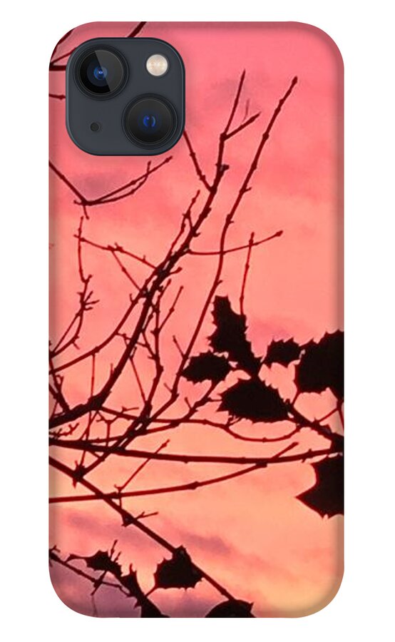 Winter Landscape iPhone 13 Case featuring the photograph Holly tree sunset 2 landscape by Itsonlythemoon