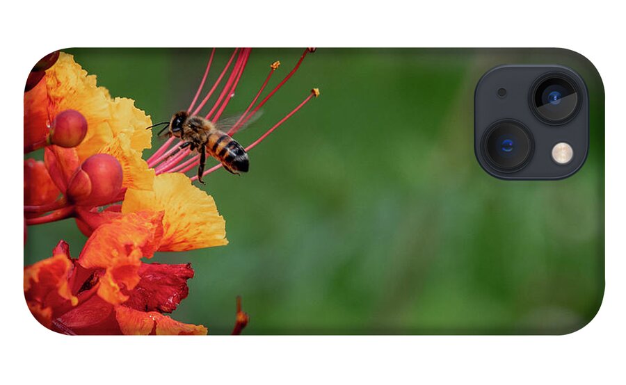 Pride Of Barbados iPhone 13 Case featuring the photograph Honey Bee Extraction by G Lamar Yancy
