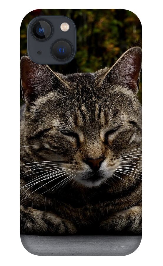 Animal iPhone 13 Case featuring the photograph Hot Tub Cat by Richard Thomas