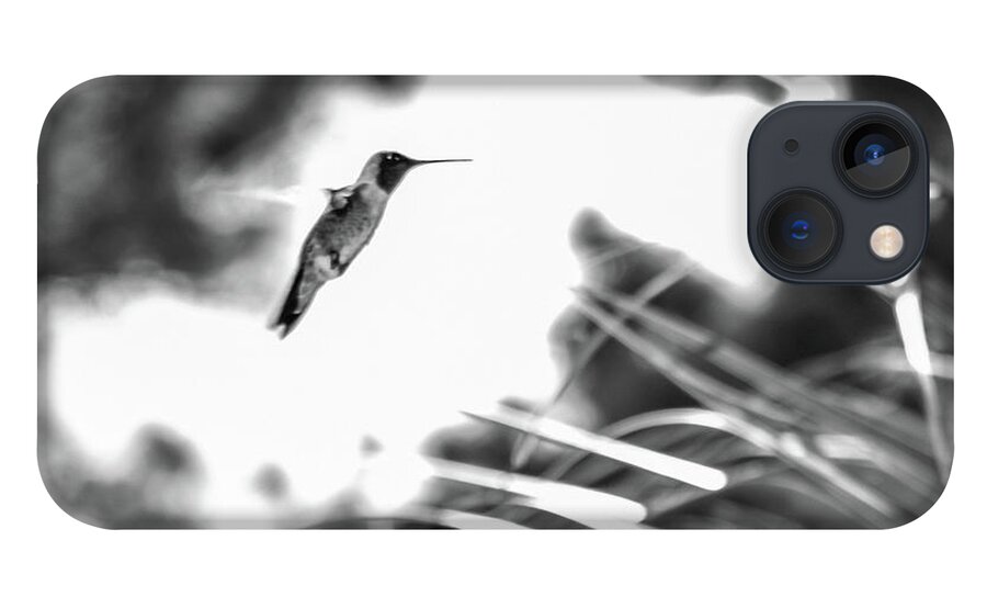 Photograph iPhone 13 Case featuring the photograph Humminbird in Black and White by Kelly Thackeray