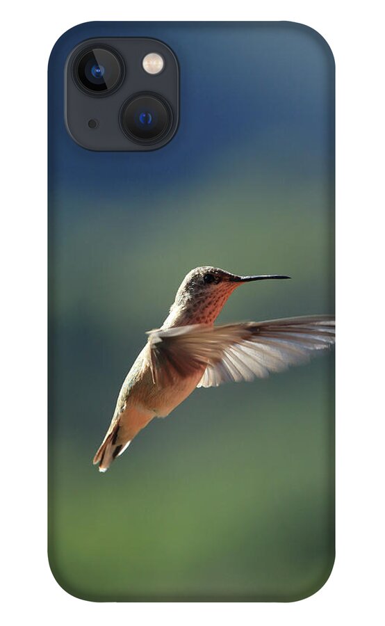 Bird iPhone 13 Case featuring the photograph Hummingbird by David Diaz