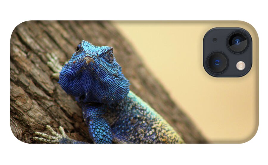  iPhone 13 Case featuring the photograph I am turning Blue ... by Eric Pengelly