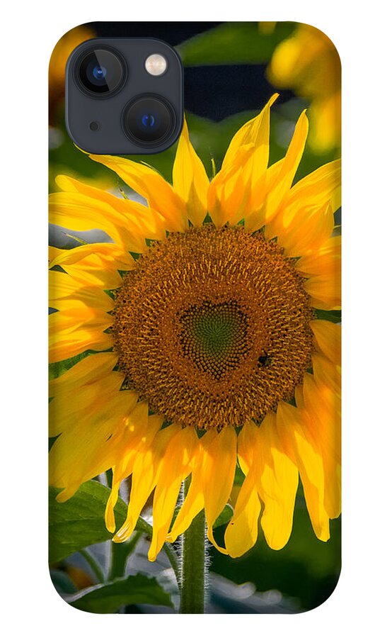 Heart iPhone 13 Case featuring the photograph I Heart Sunflowers by Linda Bonaccorsi