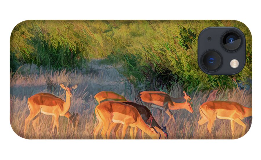 Impala iPhone 13 Case featuring the photograph Impalas of Botswana, Painterly by Marcy Wielfaert