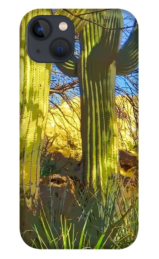 Arboretum iPhone 13 Case featuring the photograph In the Shadow of Saguaros by Judy Kennedy
