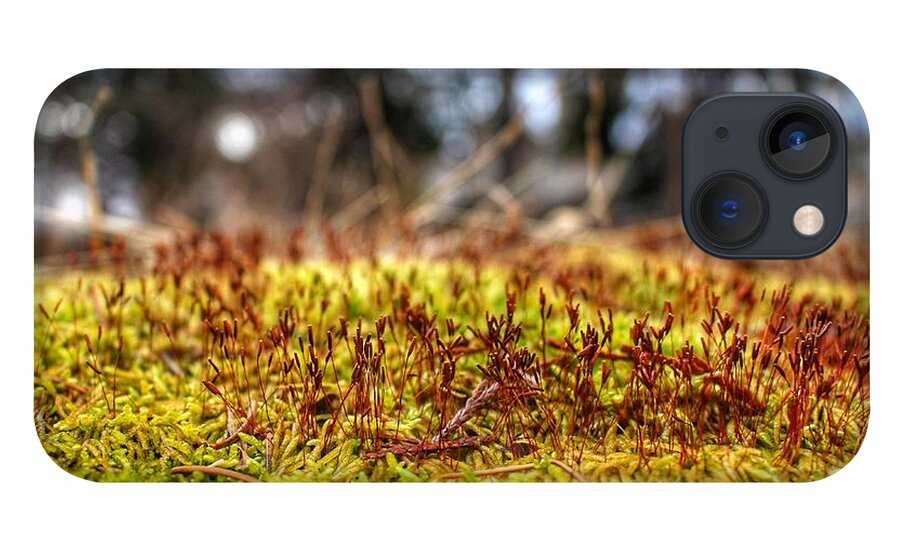 Moss iPhone 13 Case featuring the photograph Inchoate by Christopher Lotito