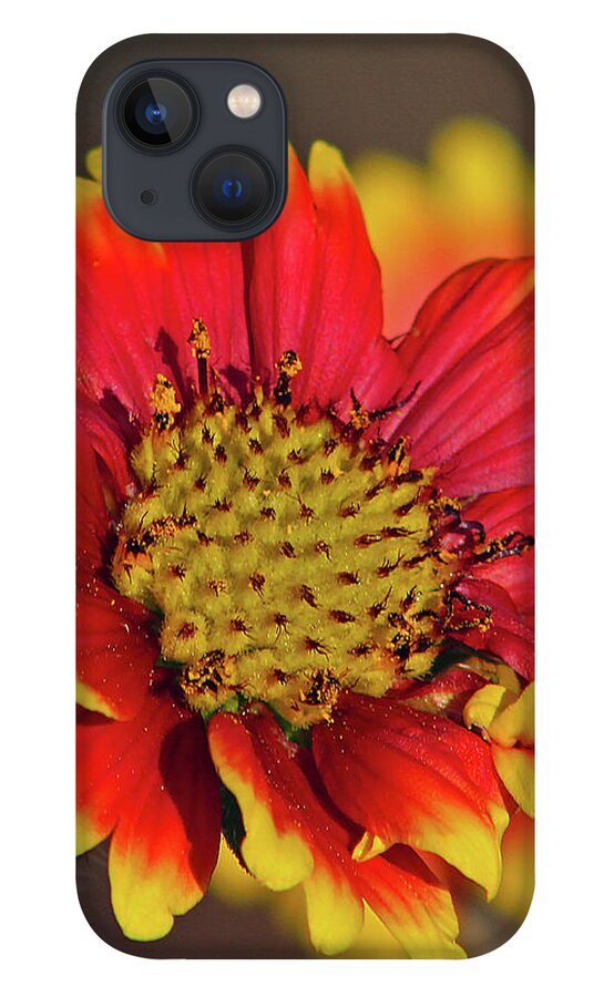 Flower iPhone 13 Case featuring the photograph Indian Blanket by Michael Allard