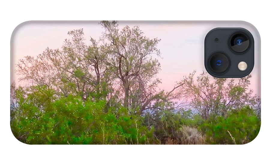 Affordable iPhone 13 Case featuring the photograph Ironwood Trees After Sundown by Judy Kennedy