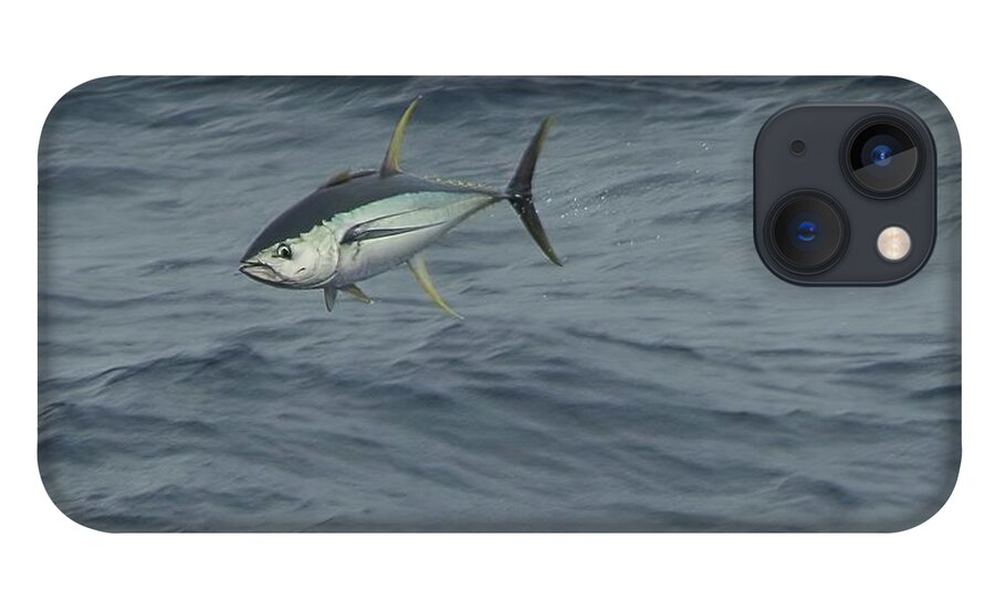 Yellowfin iPhone 13 Case featuring the photograph Jumping Yellowfin Tuna by Bradford Martin