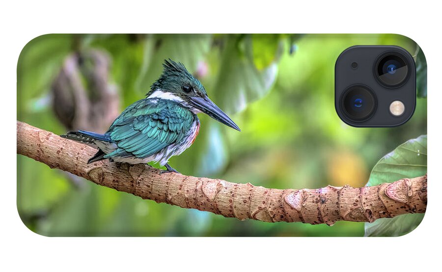 Kingfisher iPhone 13 Case featuring the photograph Kingfisher #1 by Wade Aiken