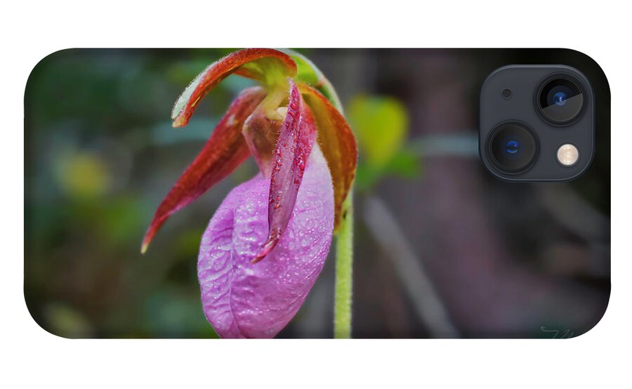 Macro Photography iPhone 13 Case featuring the photograph Lady Slipper Orchid by Meta Gatschenberger