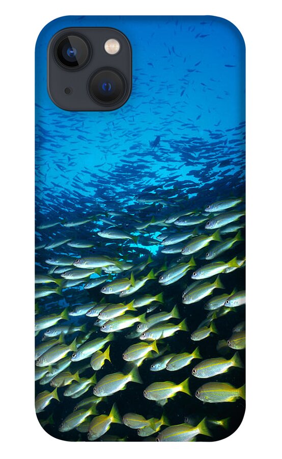 Aerodynamic iPhone 13 Case featuring the photograph Large Group Of Bigeye Snapper Fish by Mixa