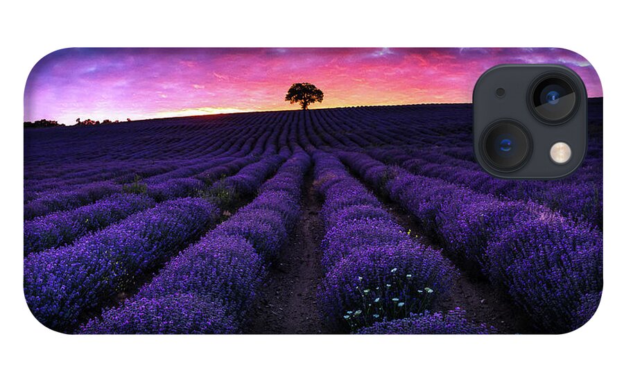 Afterglow iPhone 13 Case featuring the photograph Lavender Dreams by Evgeni Dinev