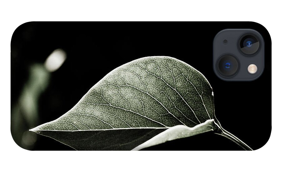 Mid-air iPhone 13 Case featuring the photograph Leaf by Enjoy It!