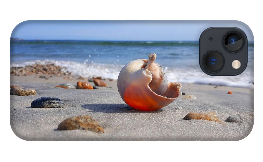 Shell iPhone 13 Case featuring the photograph Let The Sunshine In/ Inner Peace by Dani McEvoy