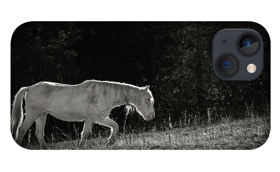 Horse iPhone 13 Case featuring the photograph Life is an Uphill Battle by Holly Ross