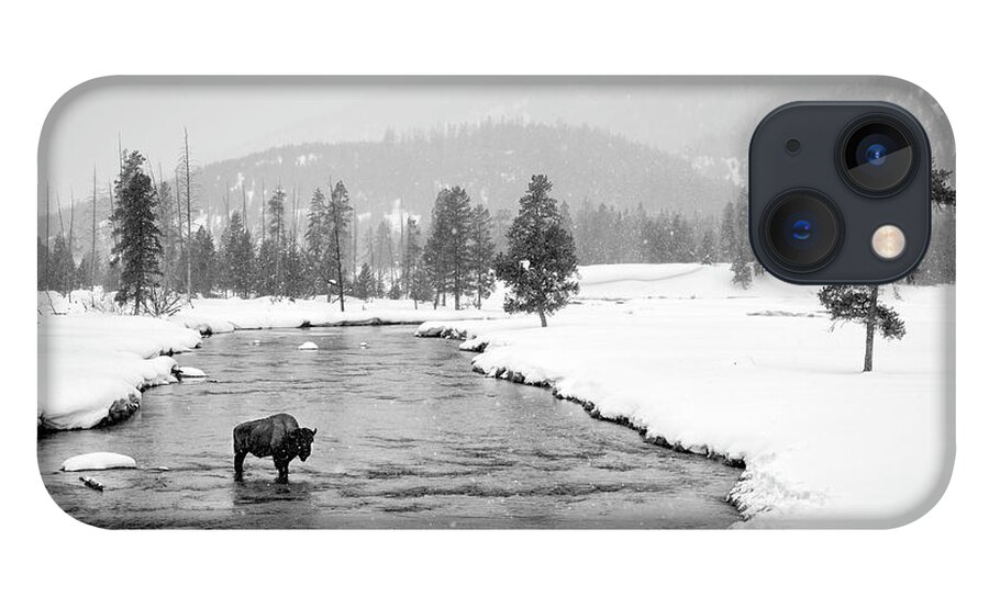  Yellowstone iPhone 13 Case featuring the photograph Lone Bison by Timothy Hacker
