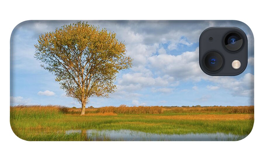 Autumn iPhone 13 Case featuring the photograph Lone Tree by a Wetland by Jeff Goulden