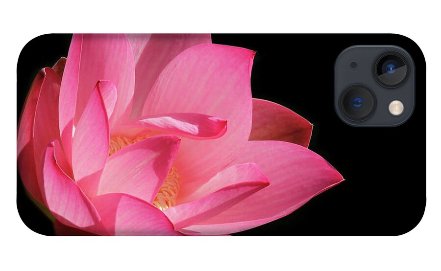 Lotus iPhone 13 Case featuring the photograph Lotus Diva by Sabrina L Ryan