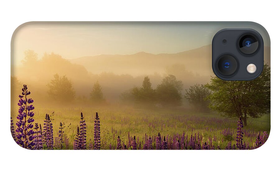 Amazing New England Artworks iPhone 13 Case featuring the photograph Lupine In The Fog, Sugar Hill, NH by Jeff Sinon