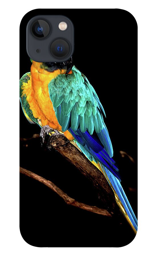 Macaw iPhone 13 Case featuring the photograph Macaw by David Keith Jr. (all Rights Reserved)
