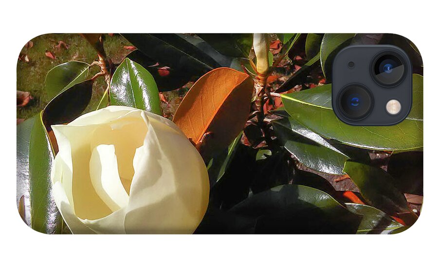 Flower iPhone 13 Case featuring the photograph Magnolia Begining by C Winslow Shafer