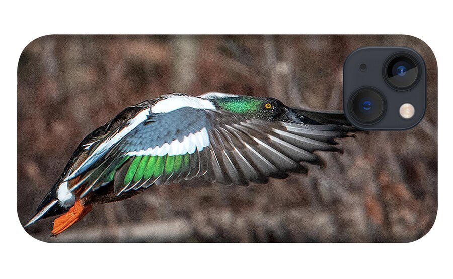 Nature iPhone 13 Case featuring the photograph Male Northern Shoveler in Flight DWF0182 by Gerry Gantt