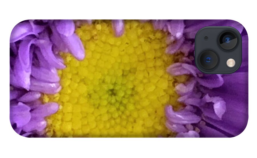 Sunflower iPhone 13 Case featuring the photograph Mardi Gras Girasol by Tiesa Wesen