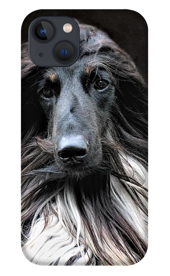 Afghan Hound iPhone 13 Case featuring the photograph Midnight Jazz by Diane Chandler