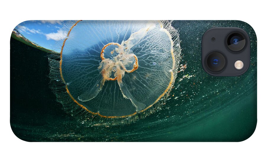 Underwater iPhone 13 Case featuring the photograph Moon Jellyfish, Alaska by Paul Souders
