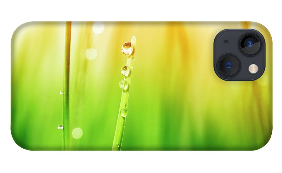 Dawn iPhone 13 Case featuring the photograph Morning Dew On Blades Of Grass During by Sbayram