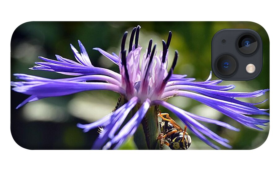 Bee iPhone 13 Case featuring the photograph Nature by Thomas Schroeder