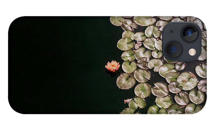 Pond iPhone 13 Case featuring the photograph No Mud No Lotus by Ana V Ramirez
