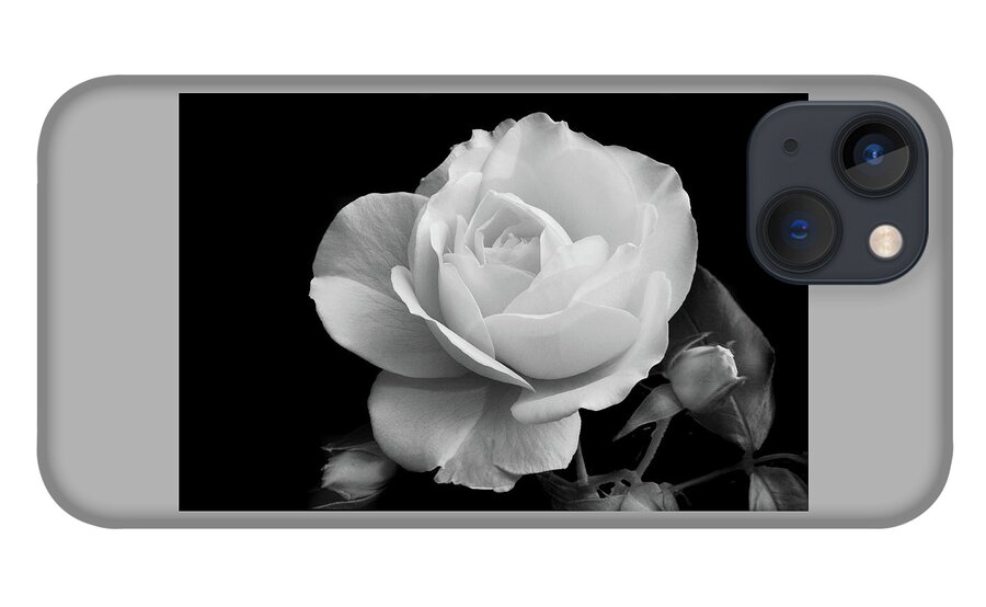Rose iPhone 13 Case featuring the photograph October Rose by Terence Davis