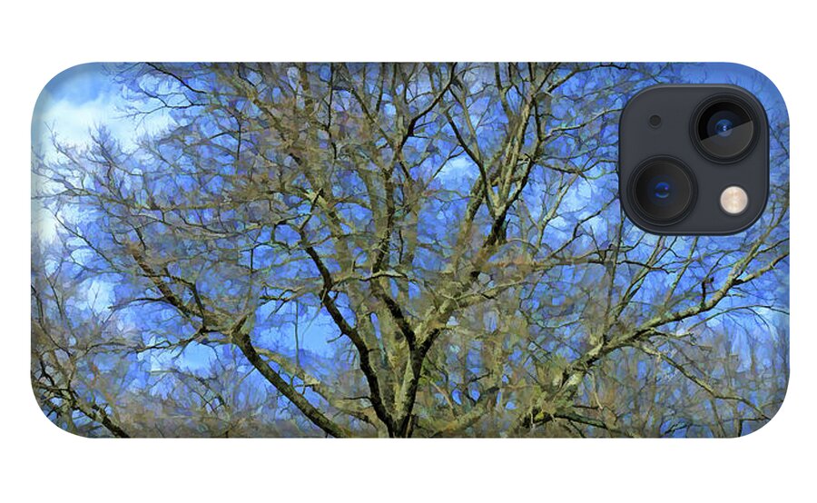 Tree iPhone 13 Case featuring the photograph Open Arms - Beautiful Bare Branches by Kerri Farley