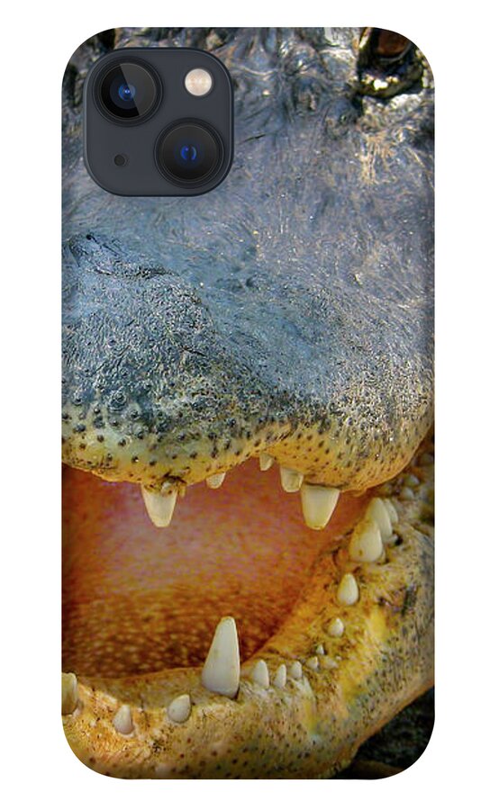 Alligator iPhone 13 Case featuring the photograph Open Wide by Mark Andrew Thomas