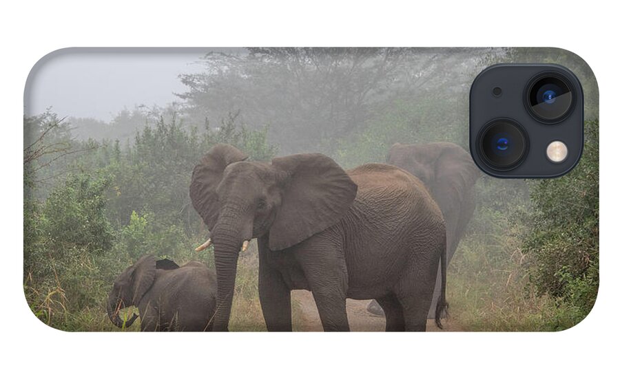 Hluhluwe-imfolozi Park iPhone 13 Case featuring the photograph Out of the Fog in Hluhluwe by Marcy Wielfaert