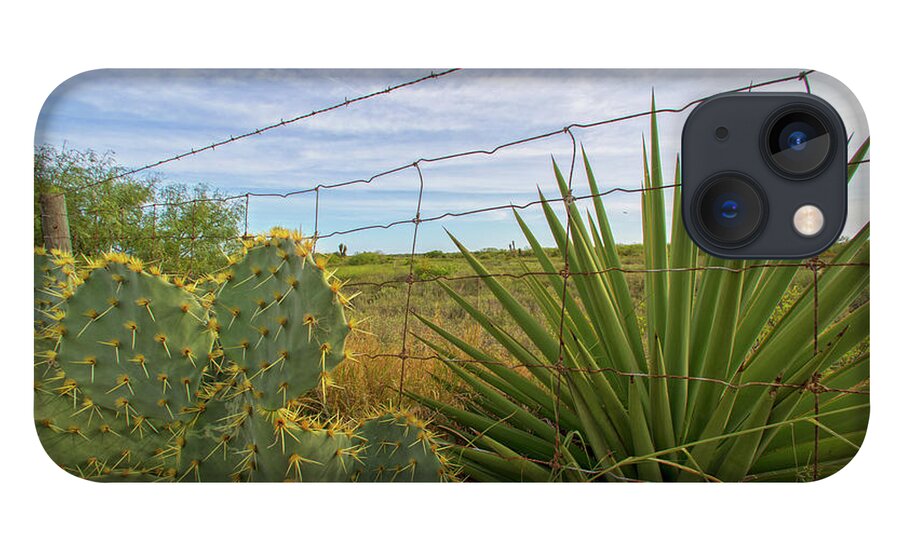 Cactus iPhone 13 Case featuring the photograph Outside Brownsville by Robert Och