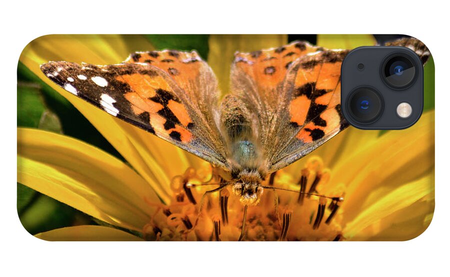 Butterfly iPhone 13 Case featuring the photograph Painted Lady Butterfly and Mules Ears Wildflower by Brian Tada