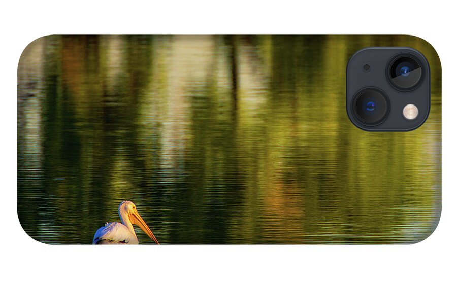 American White Pelican iPhone 13 Case featuring the photograph Pelican In Sunlight by John De Bord