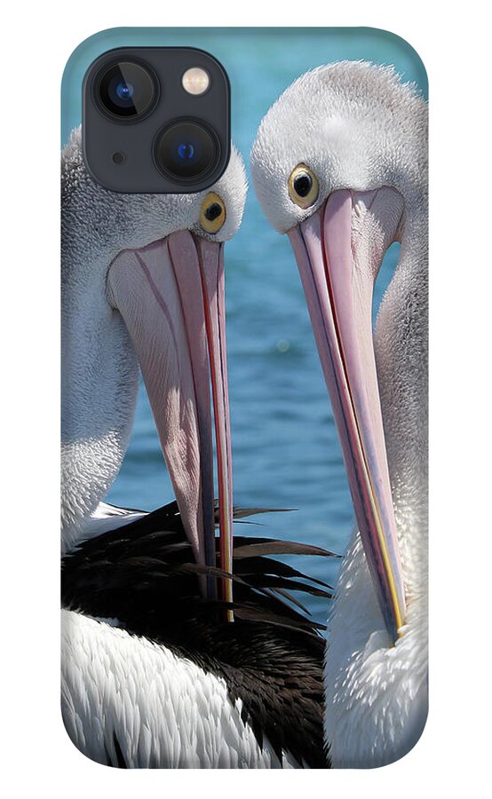 Pelican Love iPhone 13 Case featuring the digital art Pelican love 06163 by Kevin Chippindall