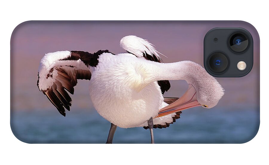 Pelicans iPhone 13 Case featuring the digital art Pelican show off 05 by Kevin Chippindall