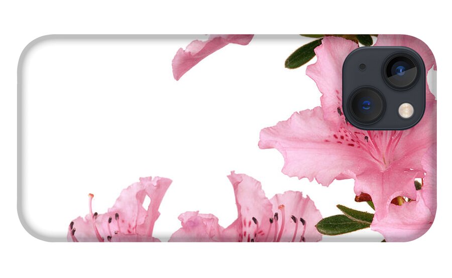 White Background iPhone 13 Case featuring the photograph Pink Azalea On White Backgrounds by Fesoj