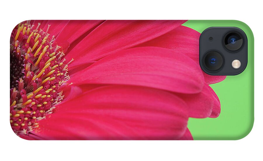Petal iPhone 13 Case featuring the photograph Pink Gerbera by Kim Haddon Photography