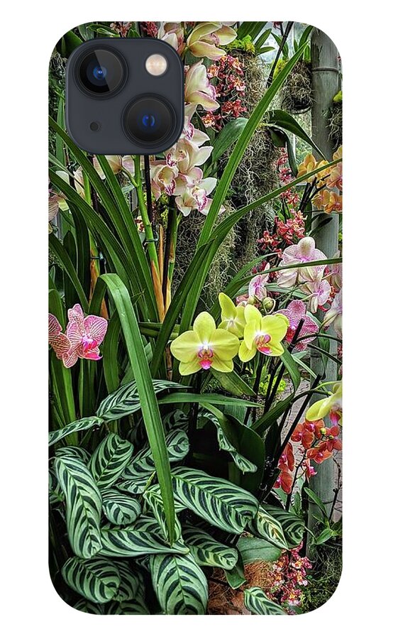 Flower iPhone 13 Case featuring the photograph Plentiful Orchids by Portia Olaughlin