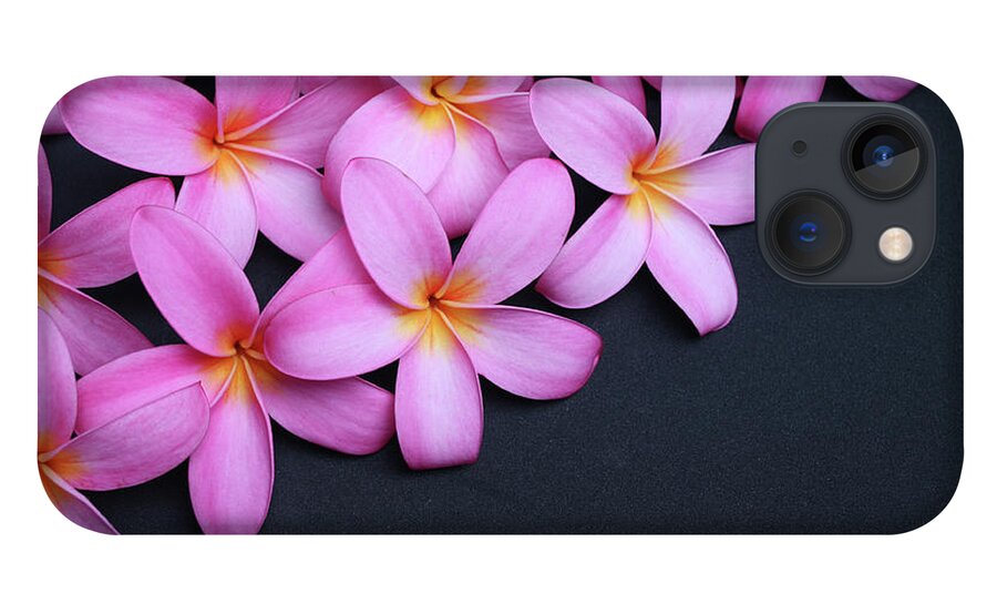 Single Flower iPhone 13 Case featuring the photograph Plumeria On Black by Focalhelicopter