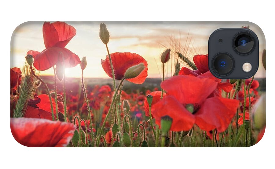 Scenics iPhone 13 Case featuring the photograph Poppy Field At Sunset by Matt Walford